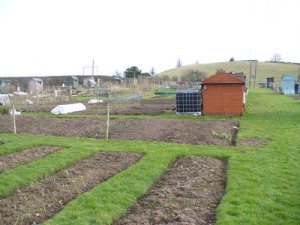 Picture of an allotment